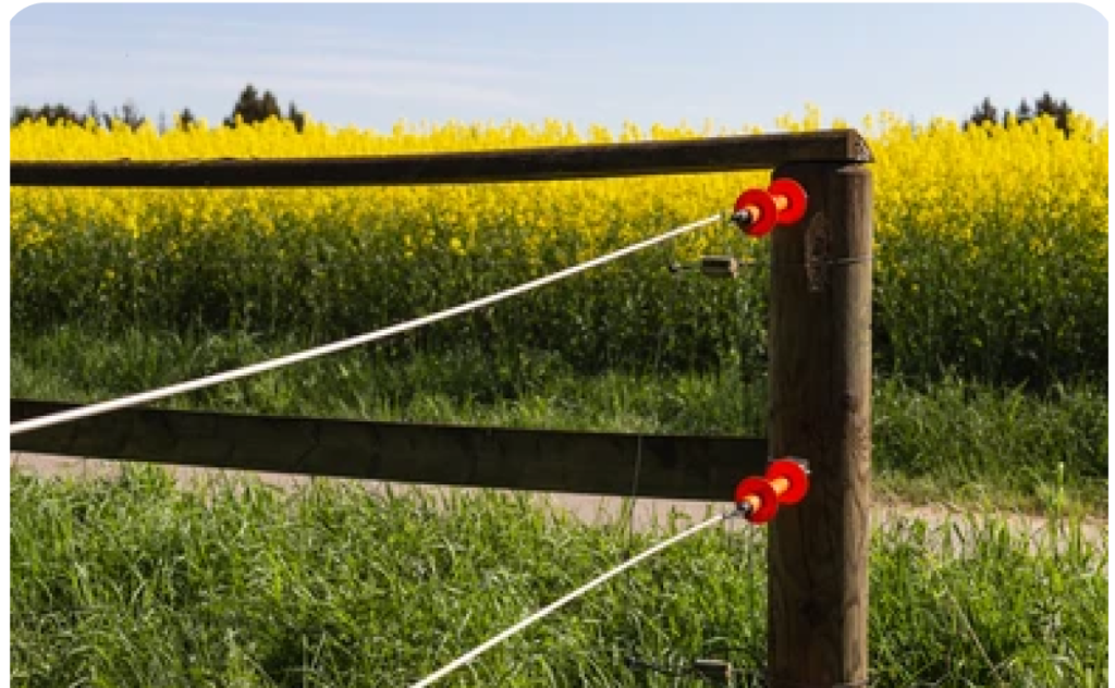 Electric Fence with Stone Security